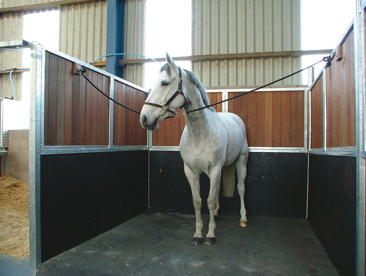 Horse standing on stable mat